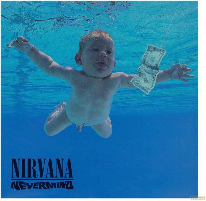 Image du produit Rock Saws Nirvana : Nevermind 500 Piece Jigsaw Puzzle (500 pièces)