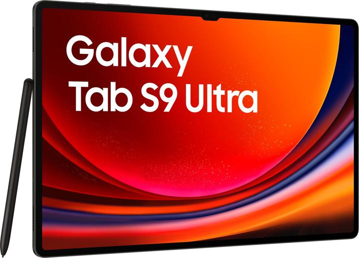 Produktbild Samsung Galaxy Tab S9 Ultra (nur WLAN, 14.60", 512 GB, Graphite Grey)