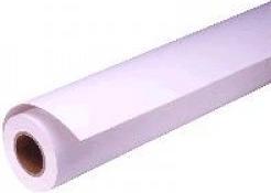 Immagine prodotto Epson Presentazione carta opaca, 24 "x 25 m (172 g/m², 2500 cm, 61 cm)