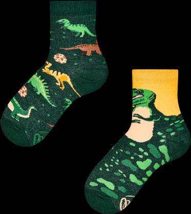 Many Mornings The Dinosaurus