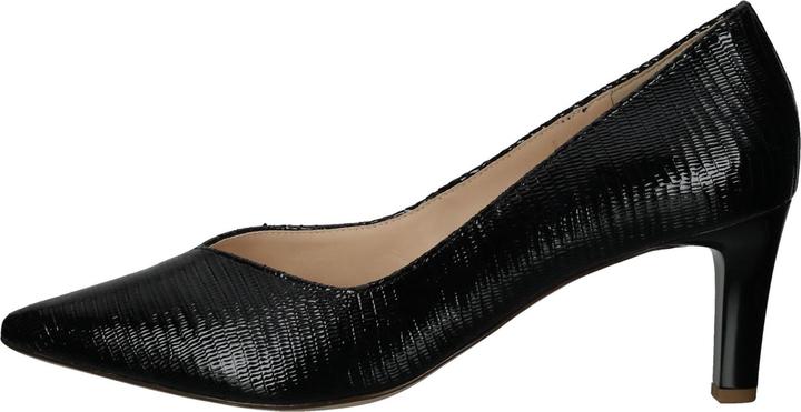 Image du produit Högl Pumps (35)
