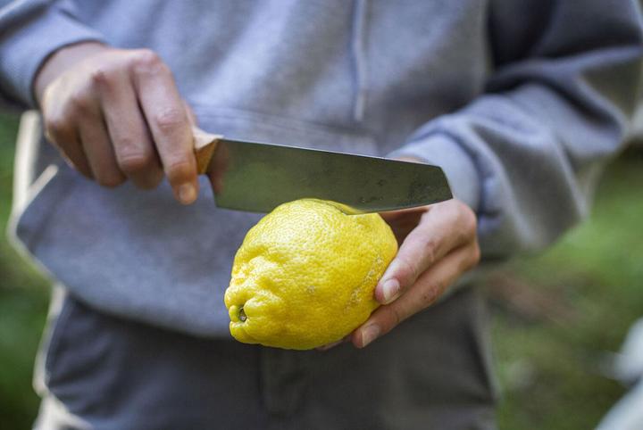 Immagine prodotto Primus Coltello CampFire