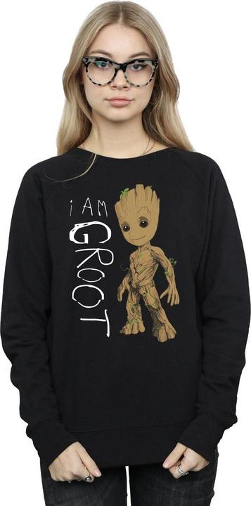 Produktbild Guardians Of The Galaxy I Am Groot Scribbles Sweatshirt (XL)