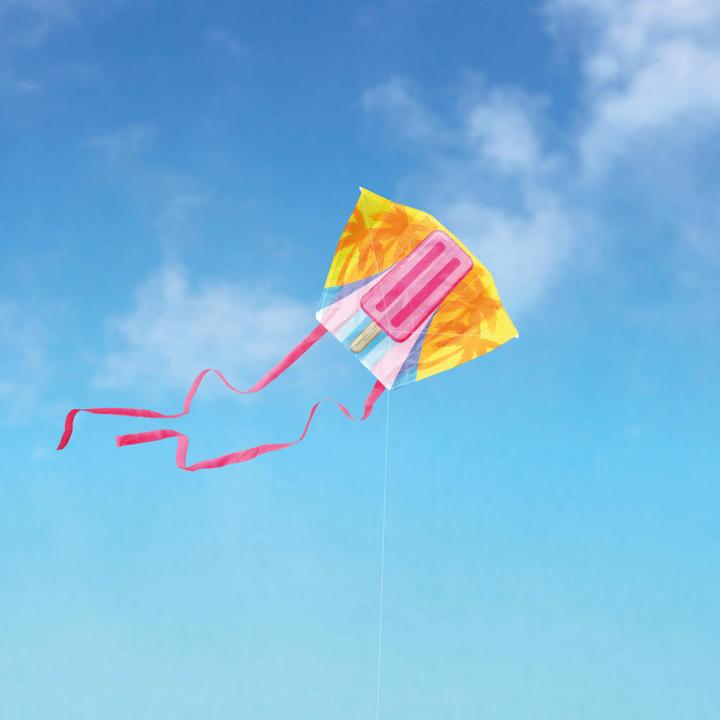 Image du produit Donkey Products Mini Kite Ice Poppy Di Pop