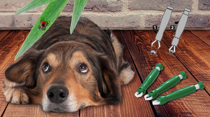 Actual product image Karlie Zeckenzangen (Dog)