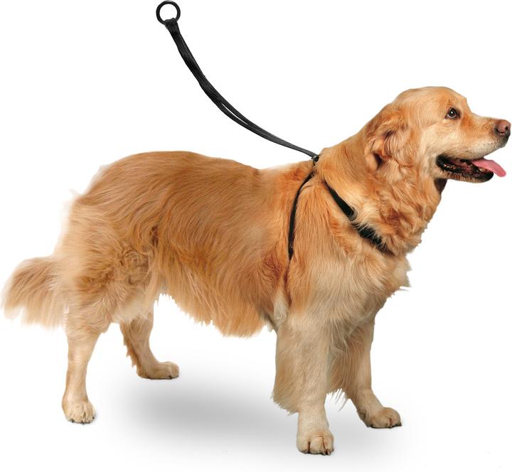 Actual product image Karlie Easy Walker (S, Dog, General)