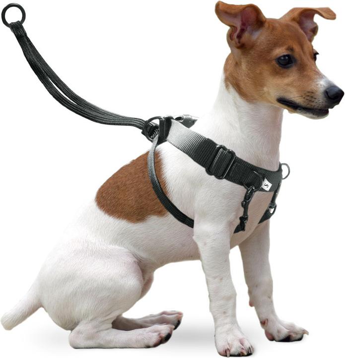 Produktbild Karlie Easy Walker (L, Hund, Spazieren)