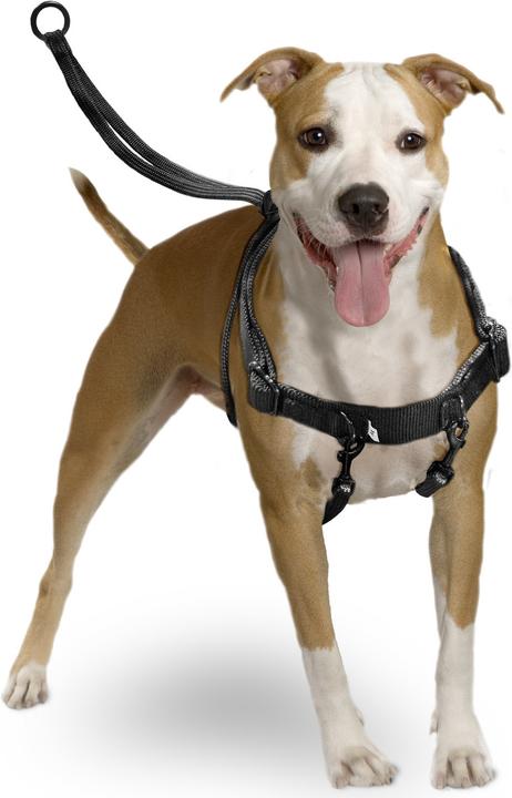 Produktbild Karlie Easy Walker (L, Hund, Spazieren)