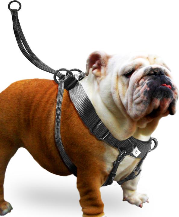 Produktbild Karlie Easy Walker (L, Hund, Spazieren)