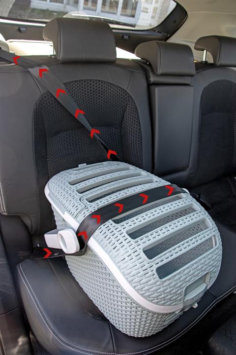 Image du produit Curver Boîte de transport (Rongeur, Réflecteurs, Fermeture de sécurité)