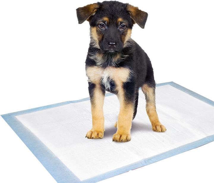 Image du produit Karlie Tapis d'entraînement pour chiots (Chien)