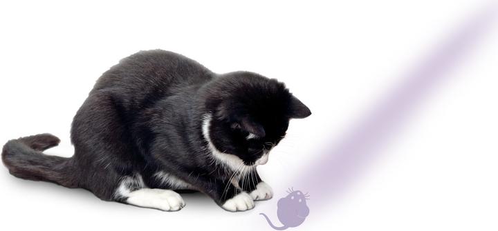Actual product image Karlie Pointer with mouse motif