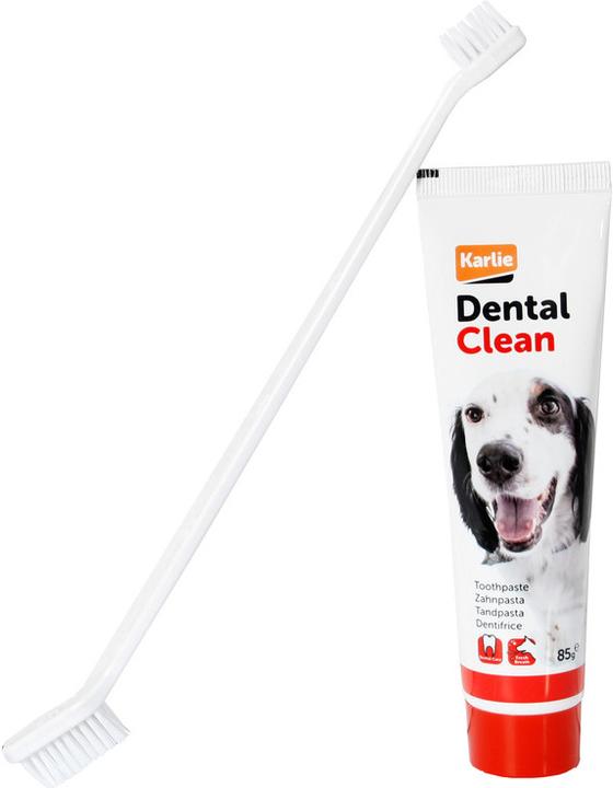Actual product image Karlie Petcare toothpaste with brush (Dog)