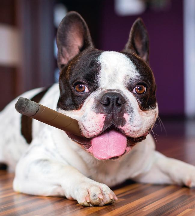 Image du produit Karlie Présentoir de cigares en latex (Jouet à mâcher pour chien)