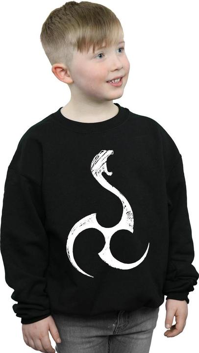 Immagine prodotto Dark Arts Felpa Ragazzi (140, 146)