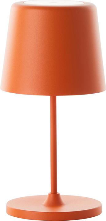Actual product image Brilliant Kaami (310 lm)