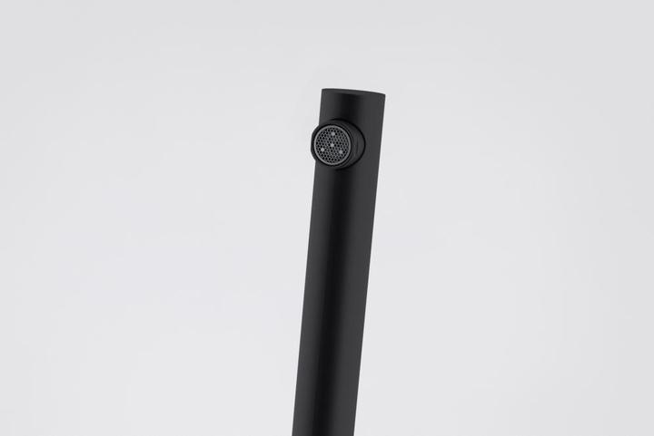 Image du produit Franke MITIGEUR 295481 LINAL BEC NOIR MAT