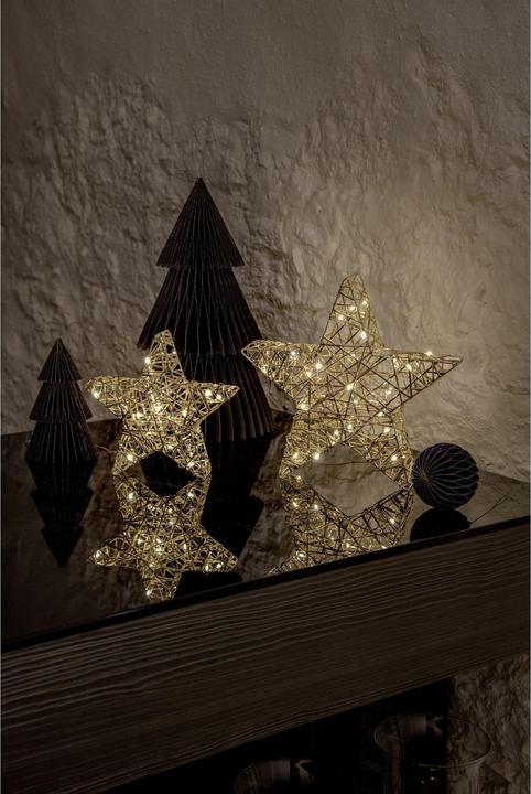 Actual product image STT Gold standing star