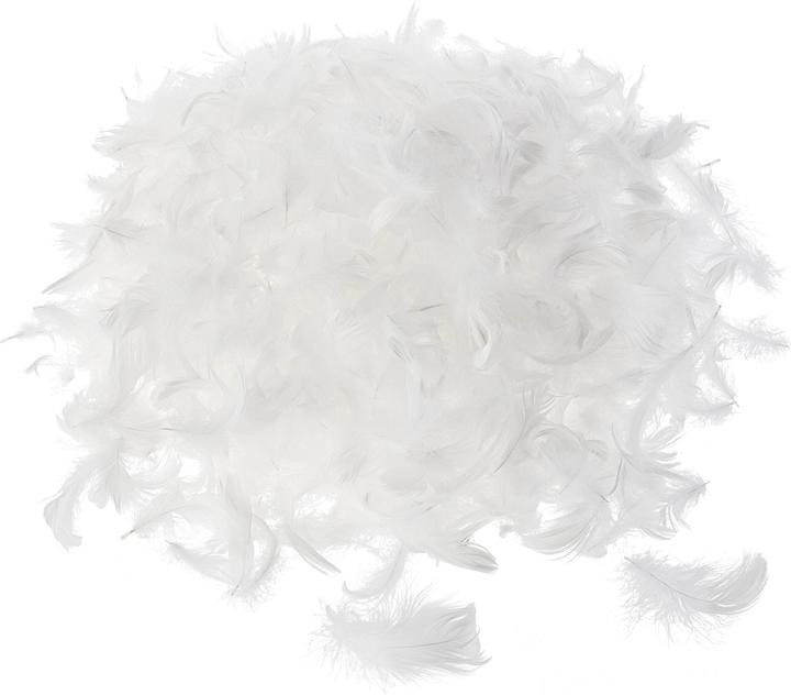 Image du produit VBS Plumes d'oie, 20 g