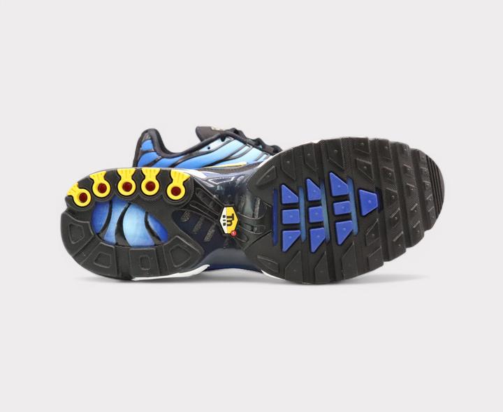 Image du produit Nike Air Max Plus OG (40)