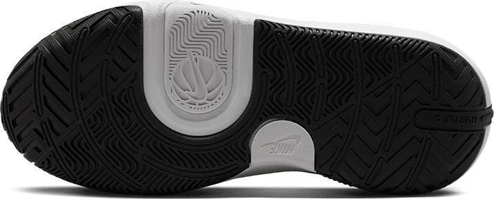 Image du produit Nike TEAM HUSTLE D 11 (GS) (38.5)