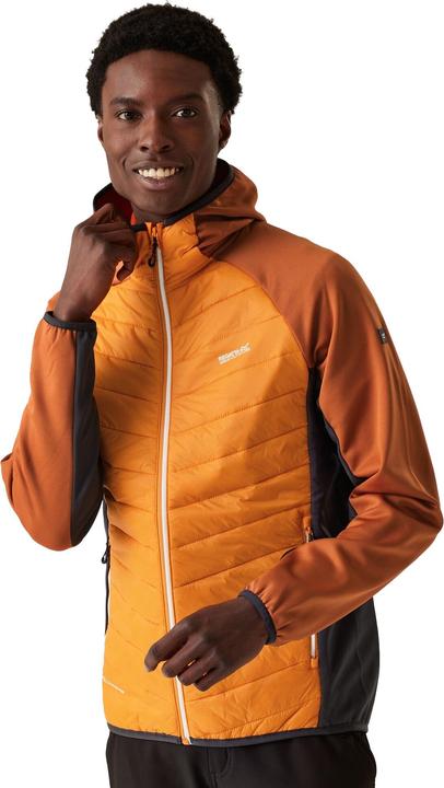 Image du produit Regatta - Veste hybride ANDRESON - Homme (XL)