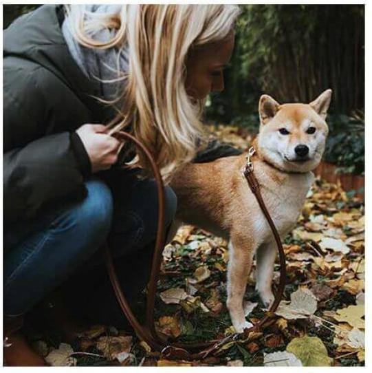 Produktbild Hunter Verstellbare Führleine Round & Soft (S, Hund, Allgemein)