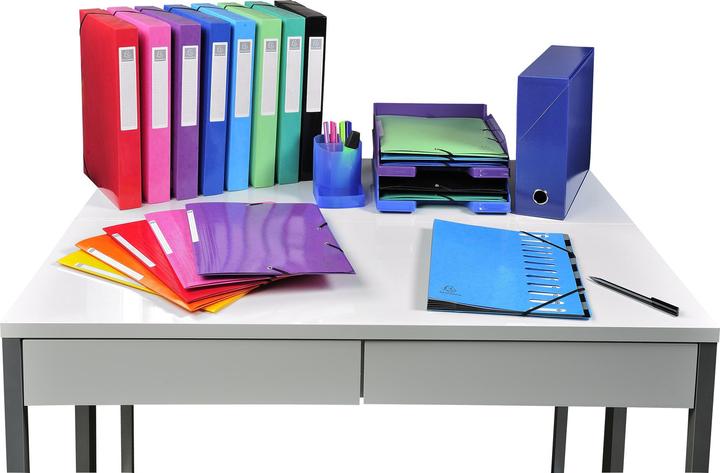 Produktbild Exacompta Sammelmappe mit Gummizug (A4, 625 x)