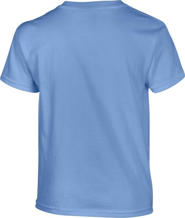 Actual product image Gildan Childrens/Kids Heavy Cotton T-Shirt (XL)