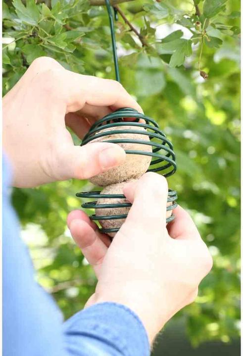 Produktbild Siena Garden Siena Meisenknödelkorb 26 cm aus Metall, grün