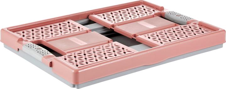 Immagine prodotto keeeper Lea (48,5 x 35 x 23,5 cm, 32 l)
