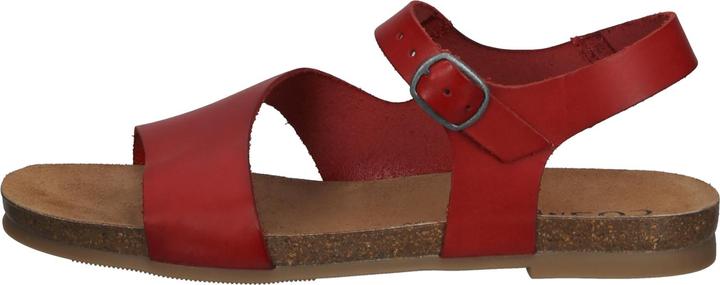 Actual product image Cosmos Comfort Sandals (37)