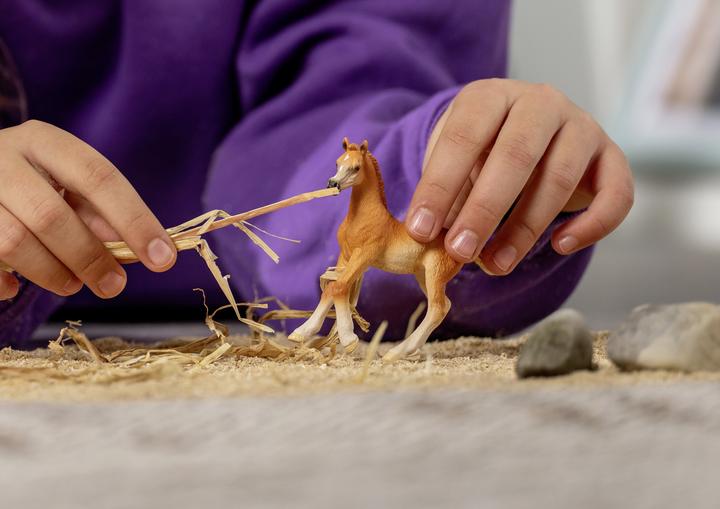 Image du produit Schleich Poulain arabe