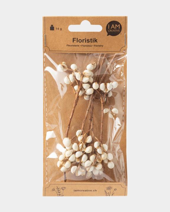 Immagine prodotto I Am Creative Frutta secca per la decorazione dei fiori (Fiori secchi)