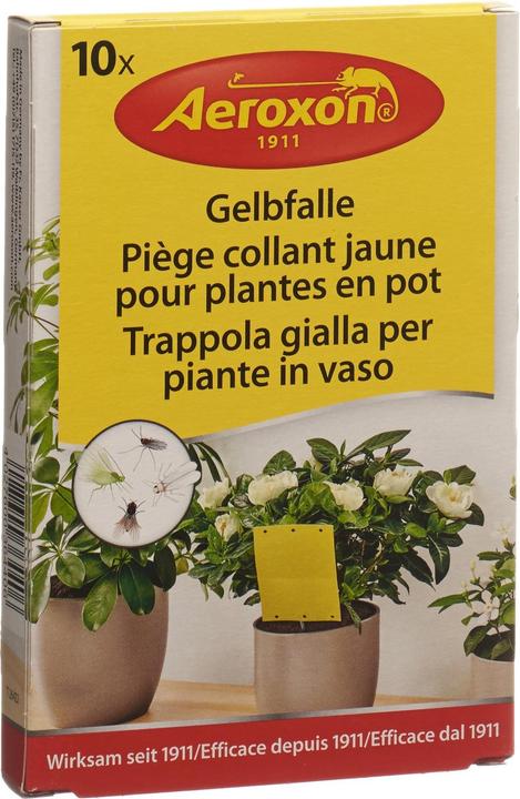 Produktbild Aeroxon Gelbfalle für Topfpflanzen
