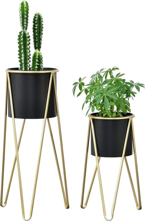 Immagine prodotto En.Casa Hedera