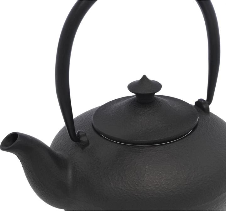 Actual product image Bredemeijer Teapot Chengdu 1.0l cast iron black 157010 (1 l)