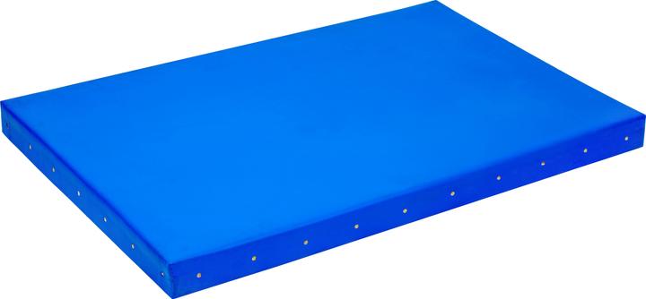 Sport-Thieme Kugelstoss-Matte Indoor (25000 g)