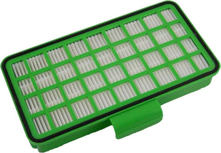 Actual product image AccuCell Vacuum Cleaner Filter for Vacuum Cleaner like Rowenta ZR901501, Hepa Filter