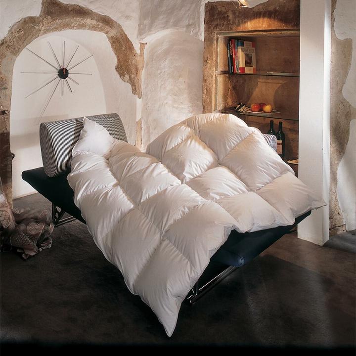 Image du produit BettwarenShop Toronto extra chaud (1750 g, 200 x 200 cm)