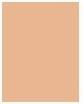 Immagine prodotto Estée Lauder Double Wear Stay-In-Place (1W2 Sabbia)