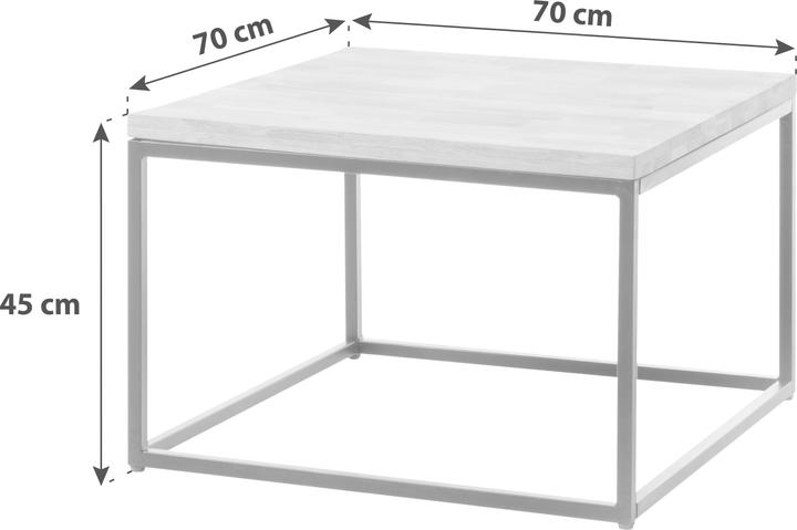 Immagine prodotto Robas Lund Sakura (70 x 70 x 45 cm)