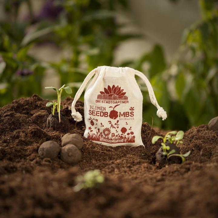 Produktbild Die Stadtgärtner Samenbomben Bienenschmaus (Blumensamen)