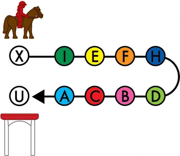 Actual product image Smart Games Horse Academy (German, French, Italian, English)