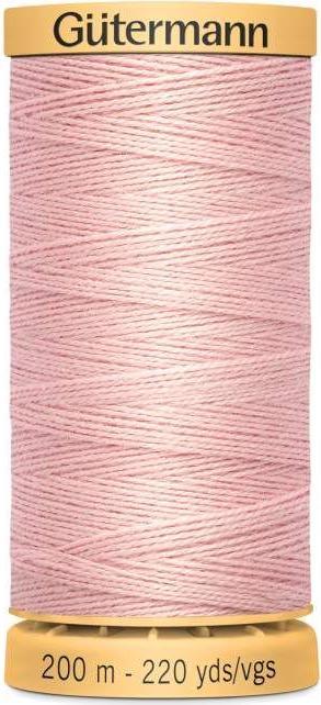 2538 rosa