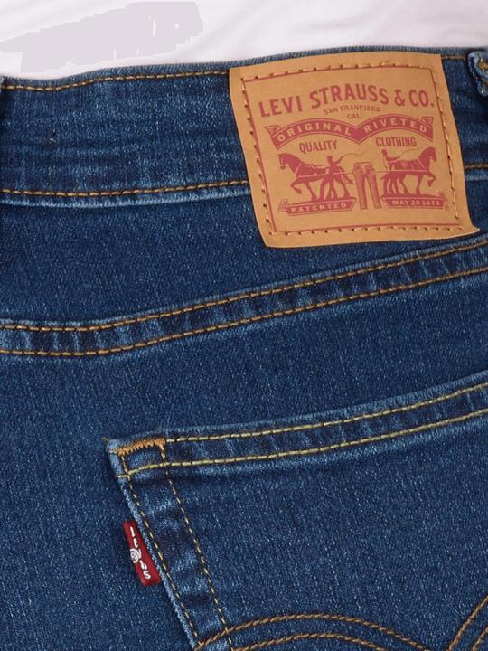 Produktbild Levis 10023500 (W31/L30)