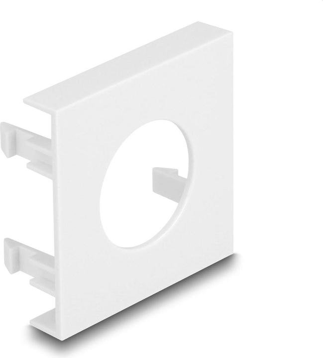 Produktbild Delock Easy 45 Modulblende Loch-Ausschnitt Ø 24 mm, 45 x 45 mm 5 Stück weiss (Wandhalterung)