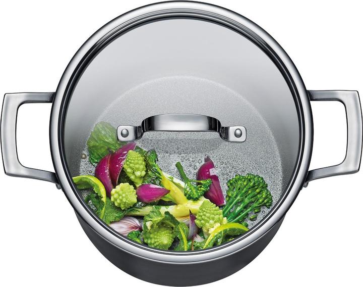 Actual product image Spring Meridian Intense Pro 4-piece pot set with glass lids (Casserole + Stewpot, Stainless steel)