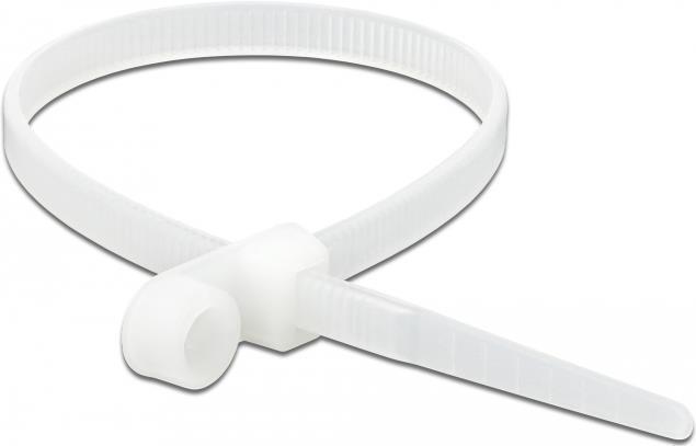 Image du produit Delock Cable tie avec oeillet de fixation (200 mm, 10 pcs)
