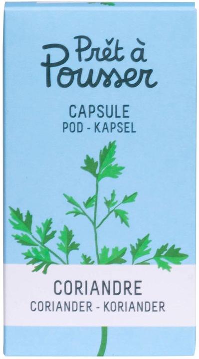 Actual product image Prêt à Pousser Coriander (Herb seeds)